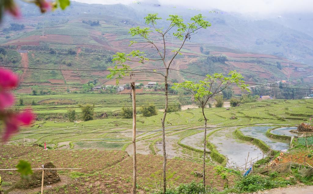 Phori'S House - Bamboo Forest Sapa Exterior foto