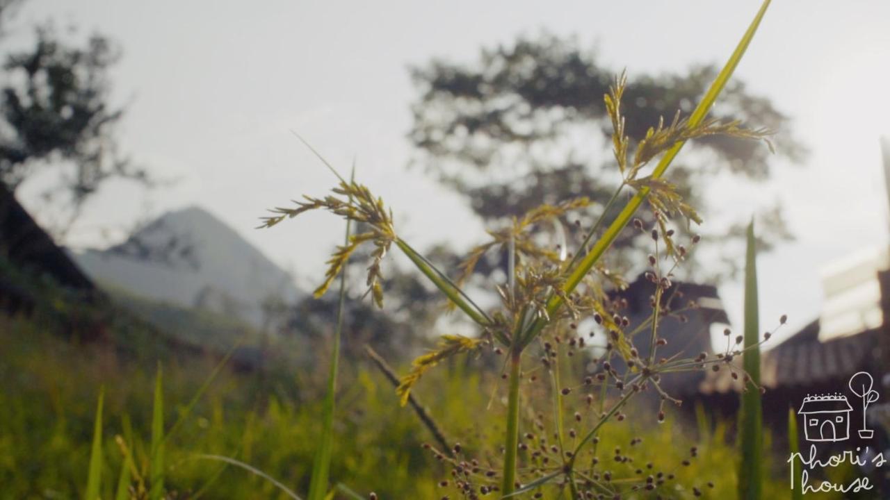 Phori'S House - Bamboo Forest Sapa Exterior foto