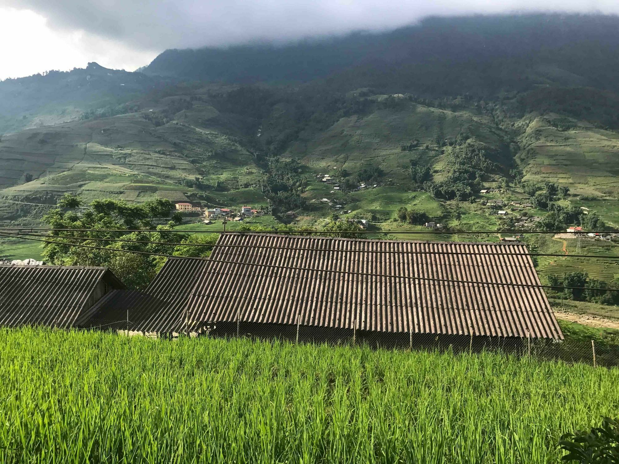 Phori'S House - Bamboo Forest Sapa Exterior foto